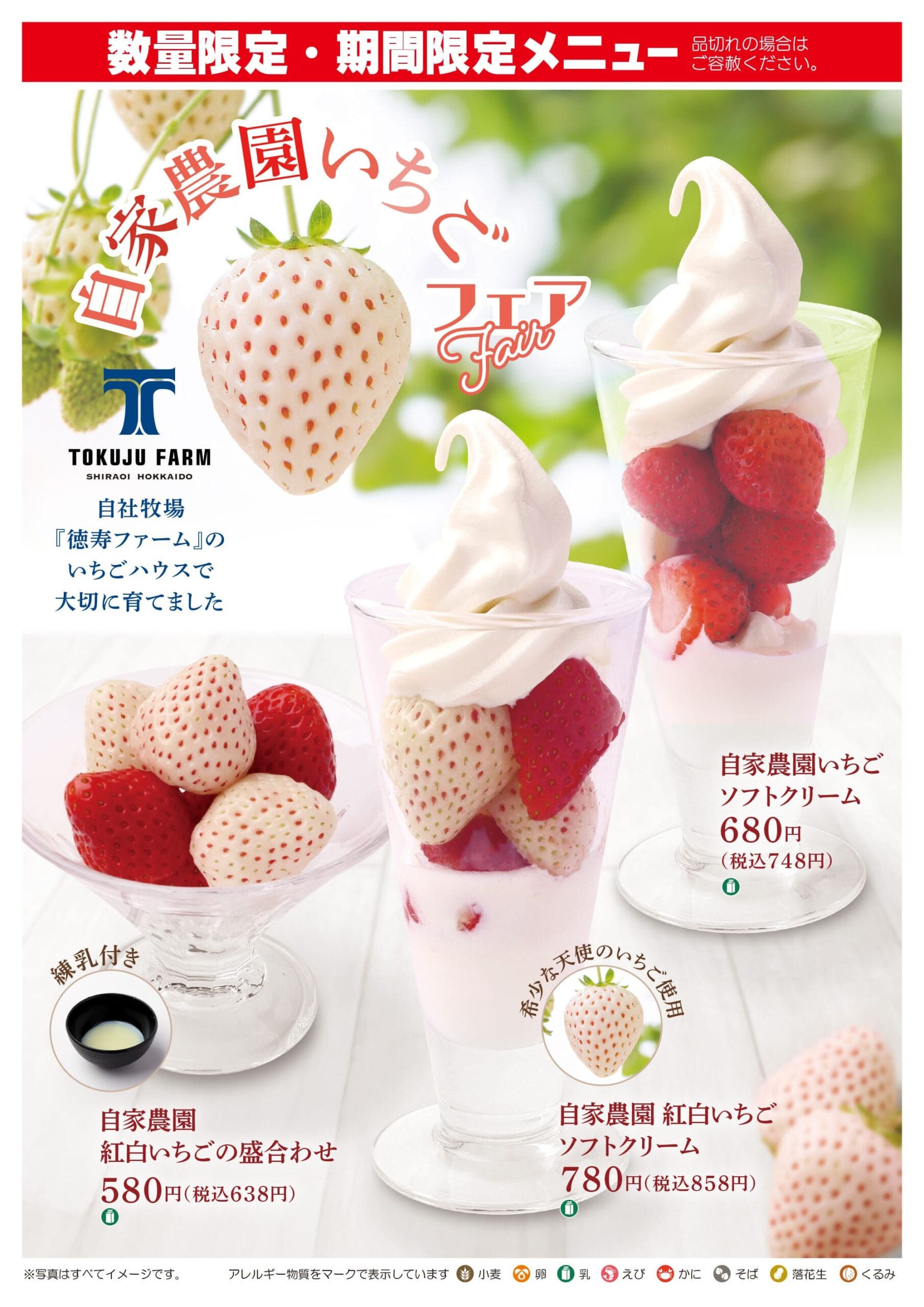 自家農園いちごソフト2024