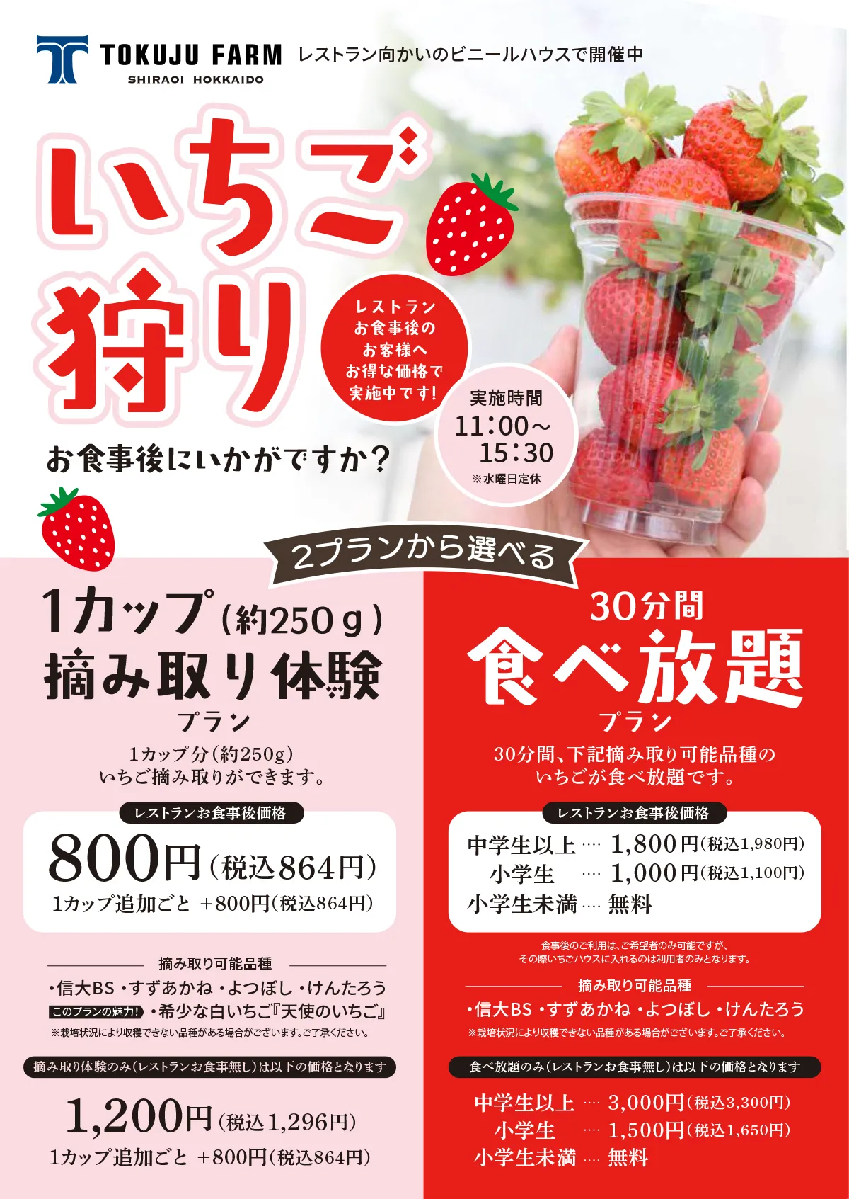 徳寿ファームいちご狩り2025