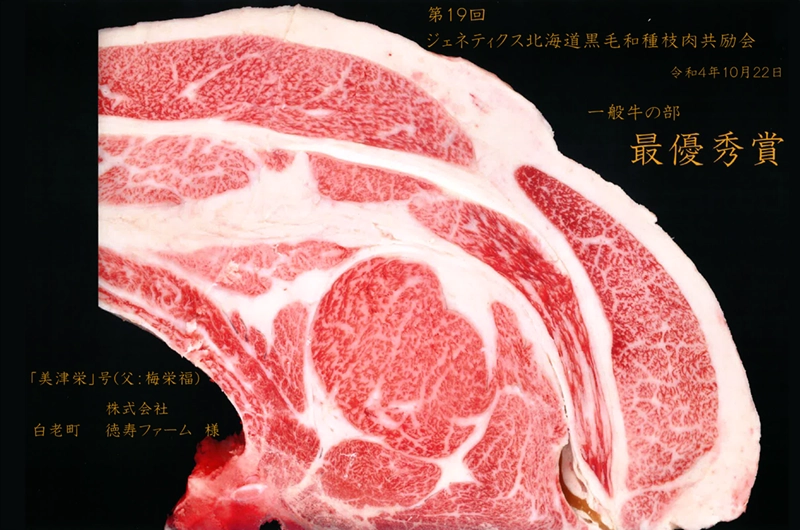 ジェネティクス最優秀賞枝肉